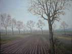 polder