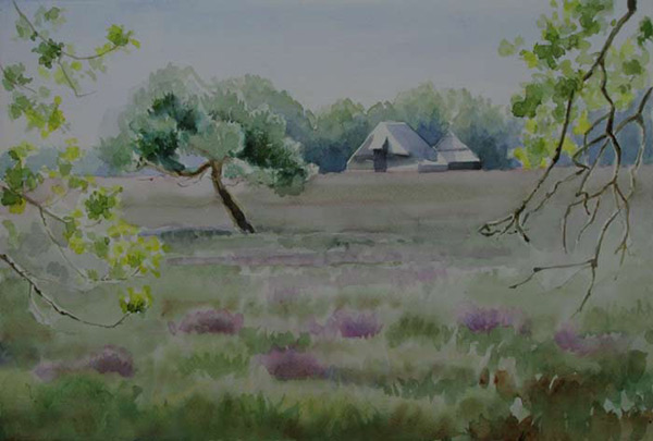schaapskooi Dwingelder veld